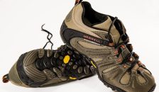 pexels-pixabay-40662